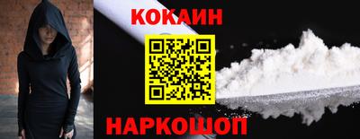 СК Гатчина