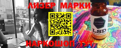 СК Гатчина