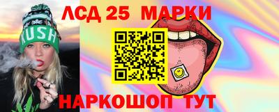 СК Гатчина