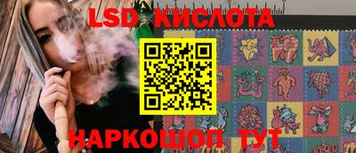 СК Гатчина