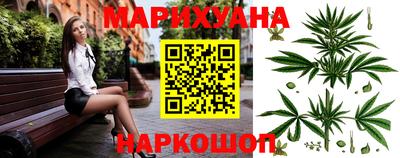 не бодяженный Гай