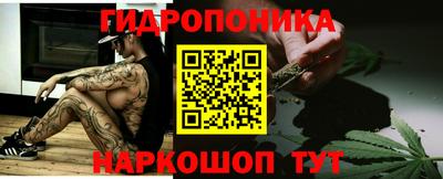 не бодяженный Гай