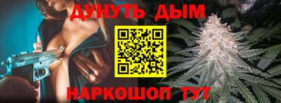 СК Гатчина