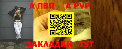 СК Гатчина