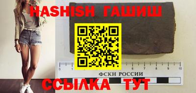 СК Гатчина