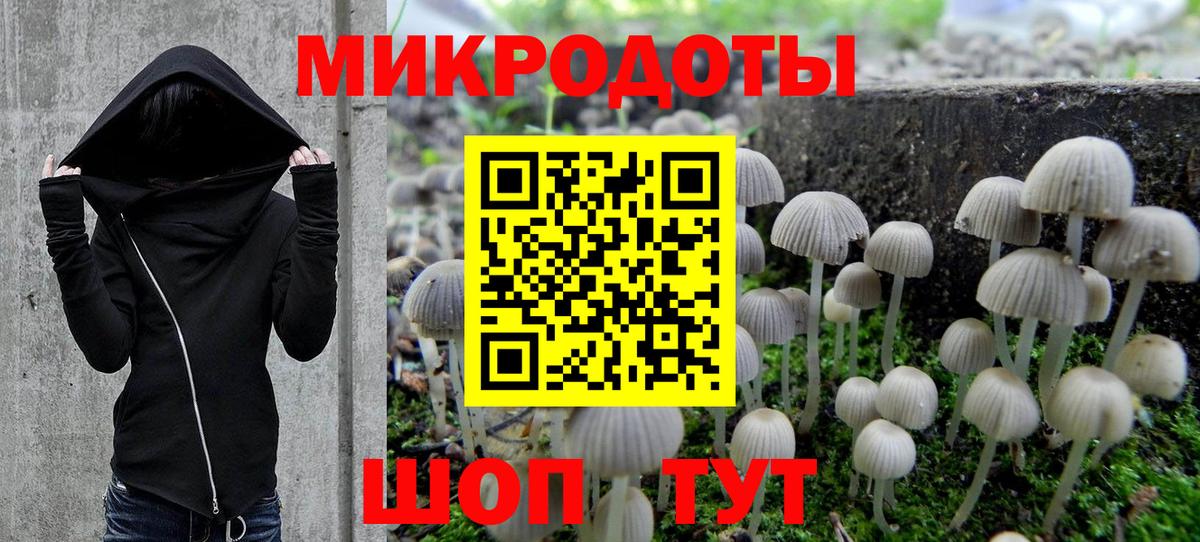 Псилоцибиновые грибы мухоморы Дальнереченск